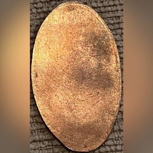 Silver Skull Coin Accessory - Picture 7 of 9